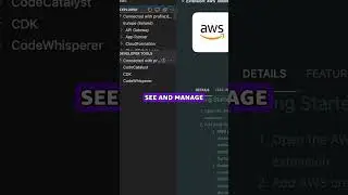 Setup the AWS Toolkit on VSCode | 