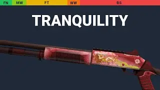 XM1014 Tranquility - Skin Float And Wear Preview