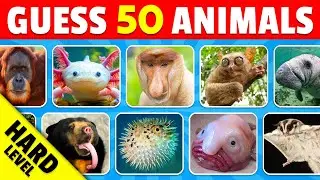 Guess 50 Rare Animals - IMPOSSIBLE Level 🚨 | Guess The Animal Challenge