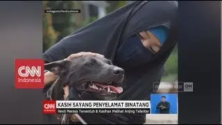 Wanita Berhijab Penyelamat Anjing - Kasih Sayang Penyelamat Binatang