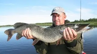 Блесна щучья двойная. Приманка ловит за двоих