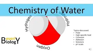 Water Chemistry (updated)