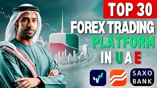 Discover the Best Forex Trading Platform UAE 2024 | Top Picks for Traders!