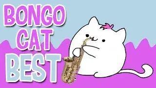 Best Bongo Cat  играет на Саксафоне 1 час meme Анимация