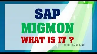 MIGMON -SAP  MIGRATION MONITOR -  WHAT IS IT ?