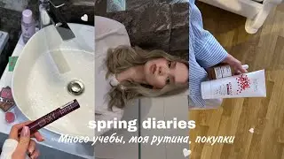 Spring diaries - учеба, моя рутина, жизнь одиннадцатиклассницы