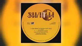 T.J. Johnson Band - I Can Make It (Good for You) [Audio]