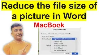 Compress (reduce) file size of picture in Word |365| #mackbook