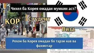 Шартномаи кори чи шуд? Касе паспорти Русси дошта бошад кумак мекунем барои документ супори!