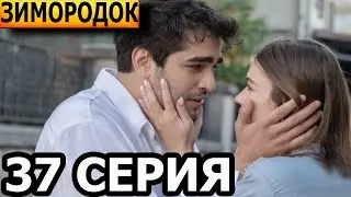 Зимородок 37 серия - русская озвучка, анонс и дата выхода (2023)
