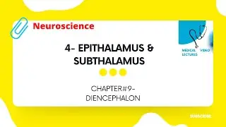 Epithalamus & Subthalamus | CHAPTER#9- DIENCEPHALON.