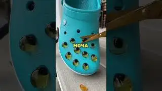 Факты, Которые Спасут Тебе Жизнь 😱🤯🤯