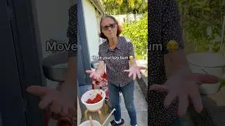 Telling Nonna I’m tired while making sauce 😂🍅