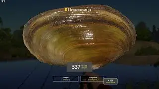 🔴Русская рыбалка 4🔴-река Вьюнок Рак и Перловица