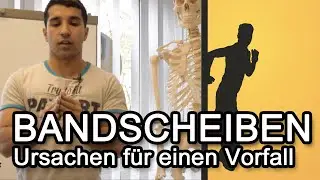 Bandscheibenvorfall - Die Ursachen / Risikofaktoren