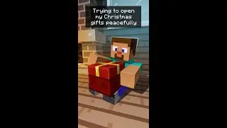 The Worst Minecraft Christmas Gift...