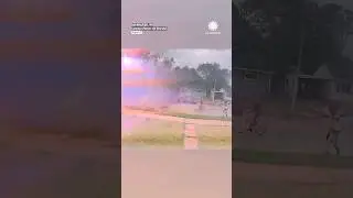 Unstoppable Cyclist Plows Into Falling Tree