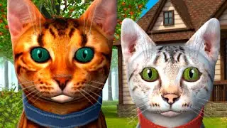 Симулятор КОТА и КОШКИ #16 Обучение котенка БОСС мышь против котика в СИМЕ cat sim