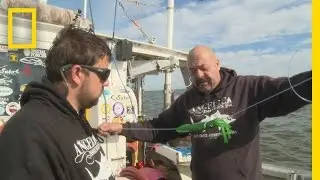 Fishing Tips: How to Rig a Squid | Wicked Tuna: Outer Banks