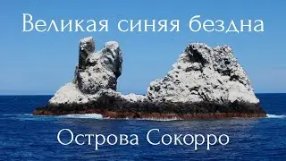 Великая синяя бездна. Острова Сокорро.