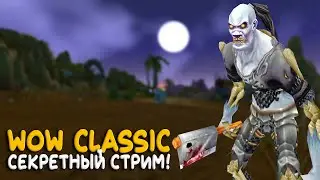 WoW Classic - Он опять качает воина? Да сколько можно!