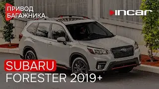 Привод багажника Subaru Forester 2019+