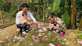 Khang went up the mountain to visit Ly Vy Ca's farm. Did she agree to marry him?. Ly Vy Ca