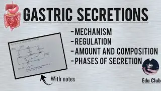 Gastric Secretions || Juices of GIT - 2 || GastroIntestinal Physiology