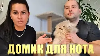 Как сделать домик для кота? Когтеточка своими руками - продолжение