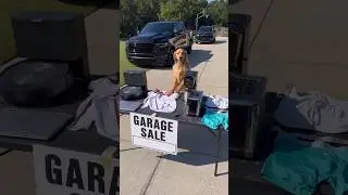 My dog sold my stuff!