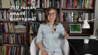 Как коровы обнаружили проблемы с современной наукой