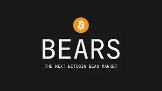 the next bitcoin bear market