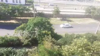Евпатория. Жкх борются с зелёными насаждениями.