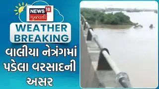 Bharuch News | વાલીયા નેત્રંગમાં પડેલા વરસાદની અસર | Heavy Rain | Monsoon | Rain Update | News18