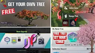 😍How To Plant Own Home Tree In Pubg Mobile || How To Collect Coins From Home Tree 🌴