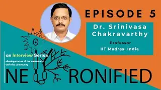 Neuronified: From an Engineer to a Neuroscientist with Dr. Srinivasa Chakravarthy