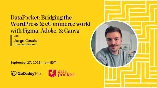 DataPocket: Bridging WordPress & Figma, Adobe, & Canva