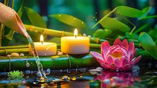 Relaxing Anti Stress Music to Calm the Mind - Music to Reduce Anxiety,  Bamboo,Calming Music, Nature