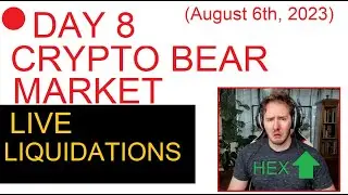 Day 8 Crypto Bear Market LIVE liquidations on BTC and DOGE 