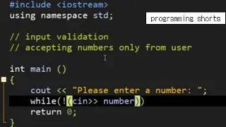 [C++] Input validation // Getting  number only from the user input