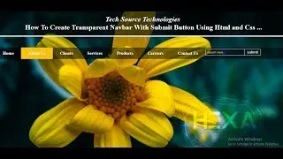 Transparent Navbar With Submit Button In Html Css | Navbar With Submit Button Transparent Background