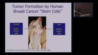 Targeting Breast Cancer Stem Cells