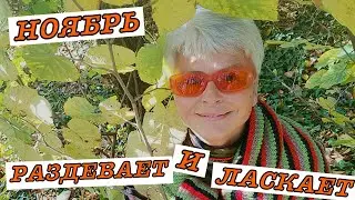 #vlog Жизнь в Болгарии. Осень 2021. Ноябрь раздевает и ласкает. Погода в Варне.