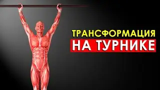 4 Простых Упражнений на Турнике, Которые Трансформируют Ваше Тело Всего за 4 Недели