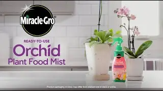 How to Use Miracle-Gro Orchid Mist