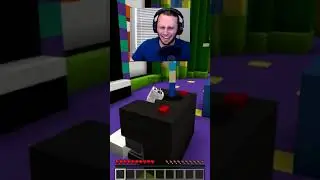 SSundee and Crainers first time seeing a rainbow sheep in Minecraft