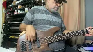 Felton Omega 5 Bass (prototype)