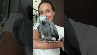 Добро пожаловать в нашу семью ☺️🫶🏻❤️ Какой первой фразе научим говорить???