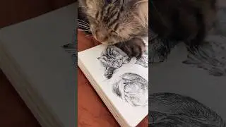 Drawing a sleepy kitty🤫