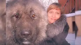 БУНДАЙ КАТТА ИТНИ УМРИМДА БИРИНЧИ МАРТА КУРИШИМ.